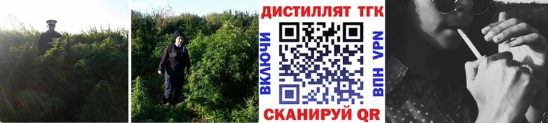 ТГК жижа  blacksprut tor  Вичуга 