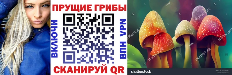 наркошоп Вичуга mega рабочий сайт Галлюциногенные грибы GOLDEN TEACHER